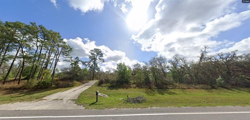 A paved driveway leads into a wooded, undeveloped lot from a paved road — COMMONWEALTH AVE N, POLK CITY, FL