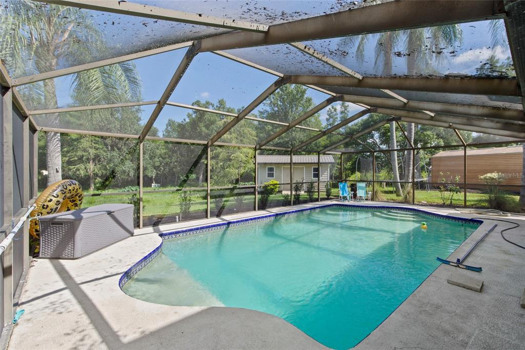 A screened-in swimming pool with a patio and a small shed in the backyard — 16126 COUNTRY CROSSING DRIVE, TAMPA, FL
