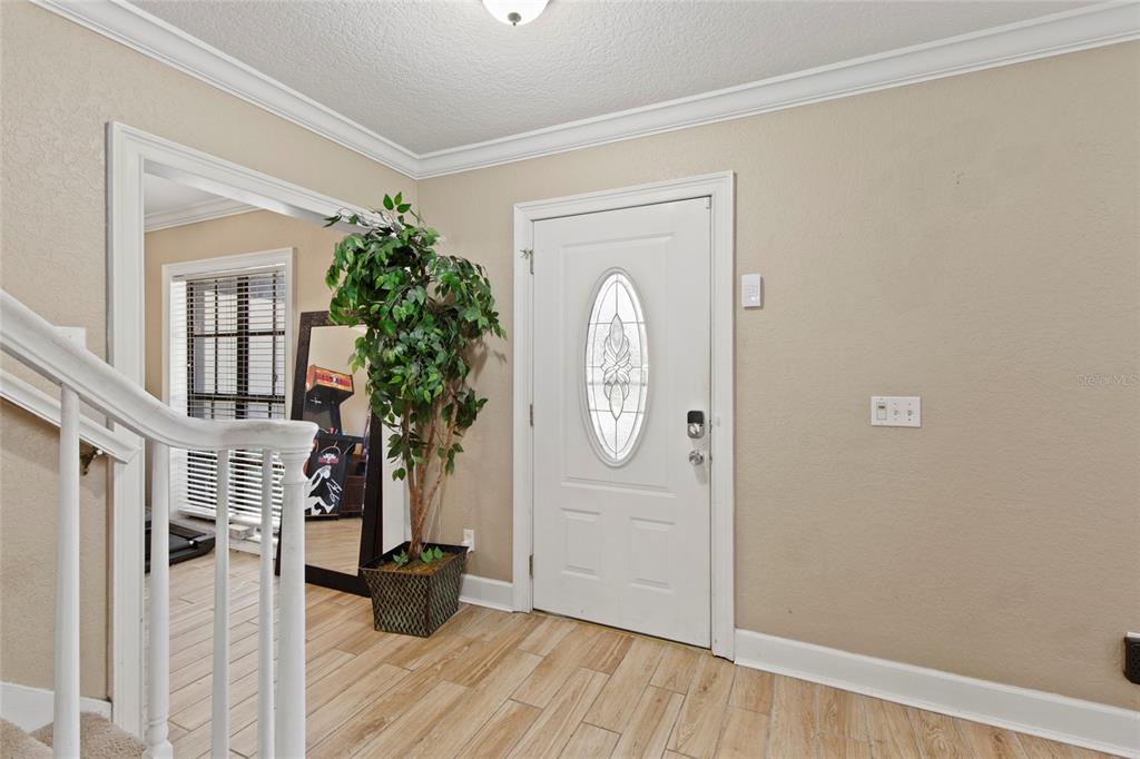 An entryway features a white front door, a potted plant, and light-colored wood-look tile flooring — 16126 COUNTRY CROSSING DRIVE, TAMPA, FL