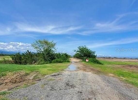 A gravel road leads through a grassy, open field under a bright blue sky — CARR 1, PONCE, PR