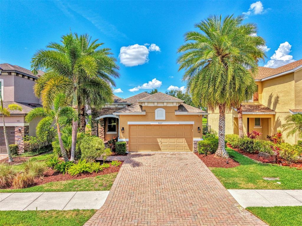 A single-story house with a tan stucco exterior, a brick driveway, and two large palm trees — 8467 NANDINA DRIVE, SARASOTA, FL