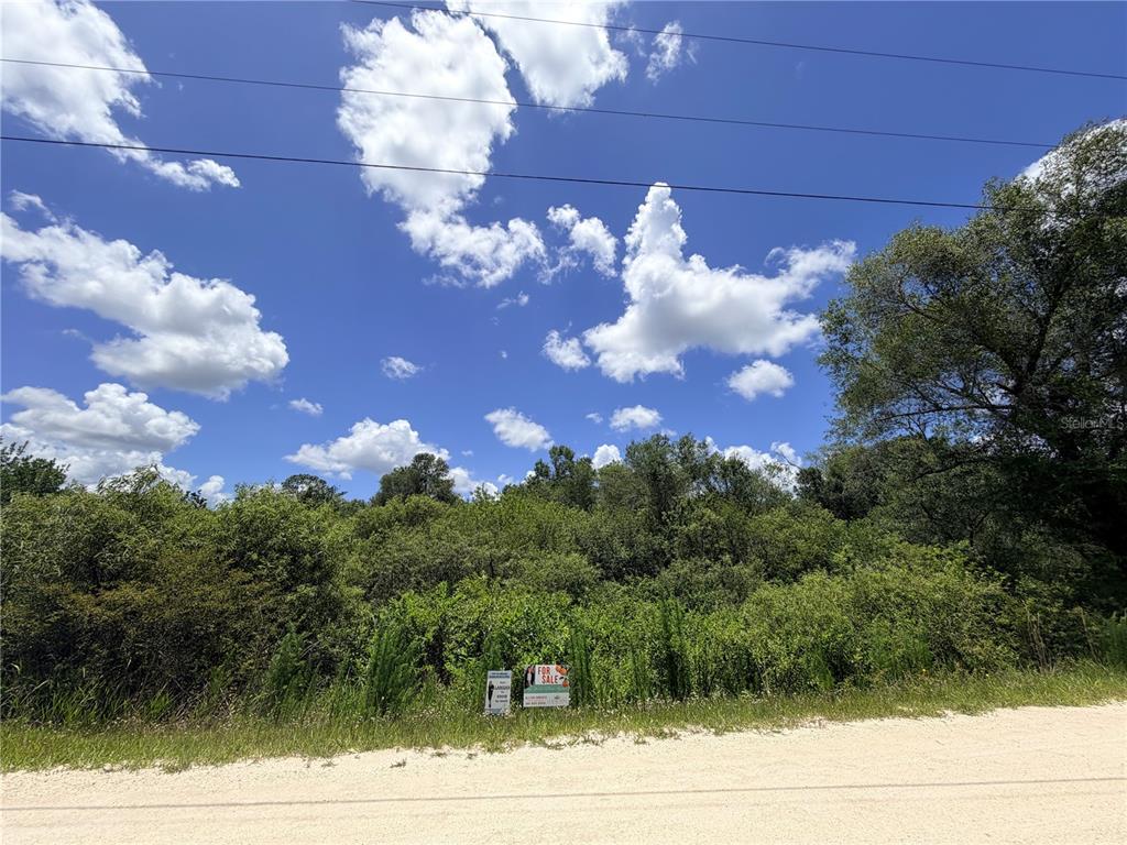 A dirt road runs in front of a densely wooded lot with a for-sale sign — LOT 9 HARDSTONE DRIVE, WEBSTER, FL