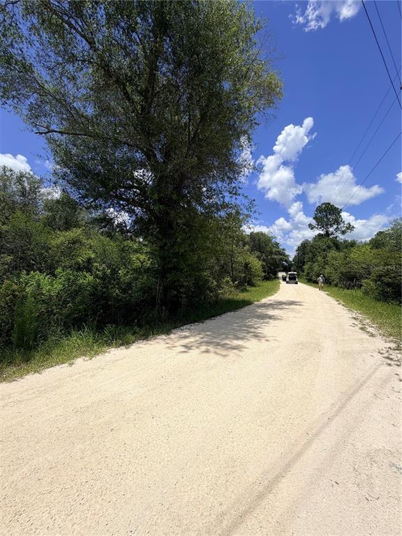 A dirt road winds through a wooded area under a bright blue sky — LOT 9 HARDSTONE DRIVE, WEBSTER, FL
