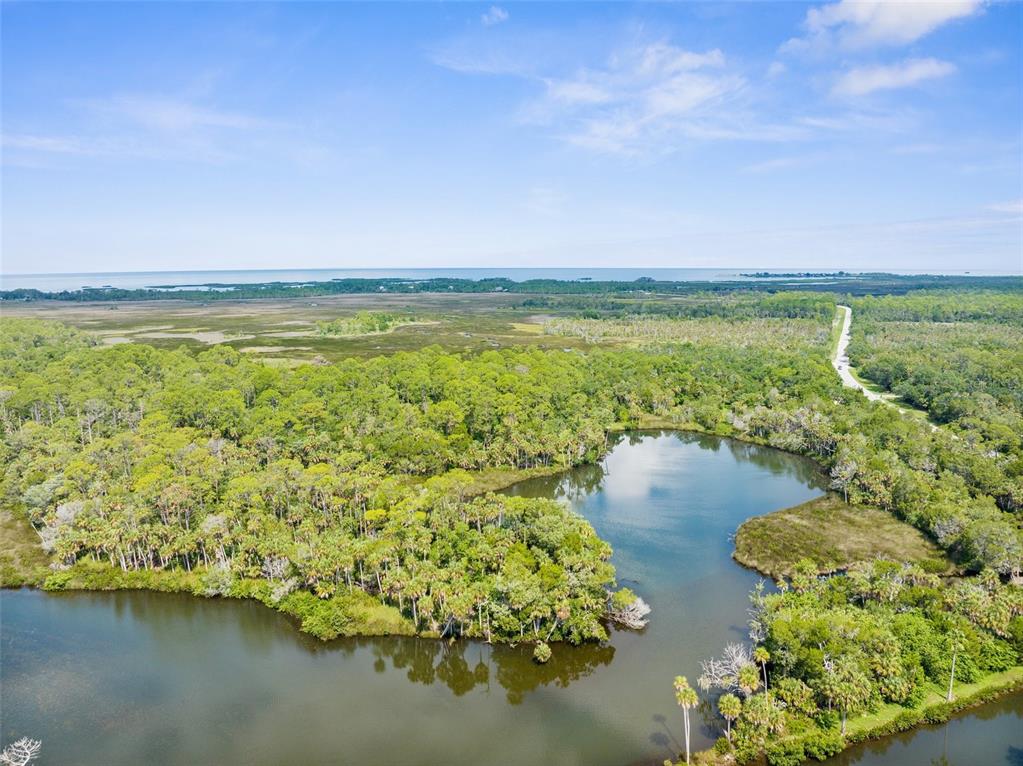An aerial view shows a pond surrounded by dense forest and marshland near the coast — 0 MARYS FISH CAMP ROAD, SPRING HILL, FL