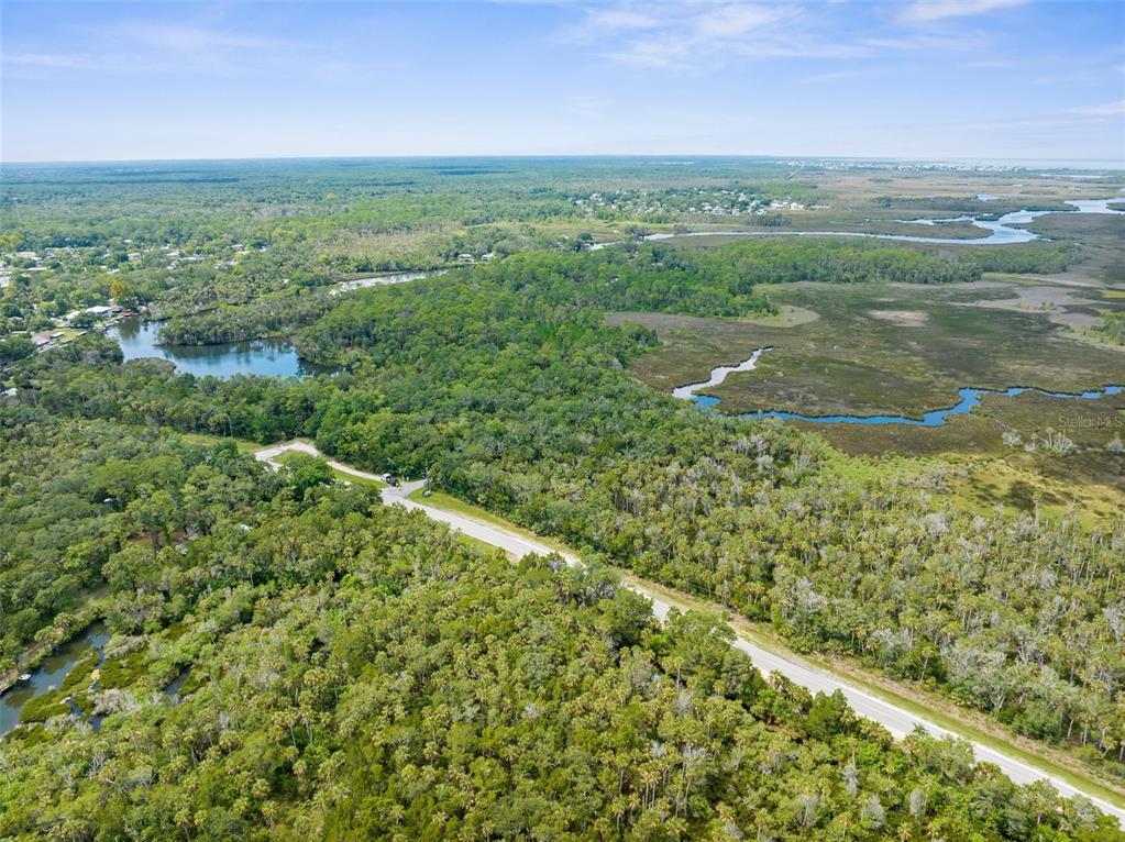 An aerial view shows a paved road winding through a dense forest near coastal wetlands — 0 MARYS FISH CAMP ROAD, SPRING HILL, FL