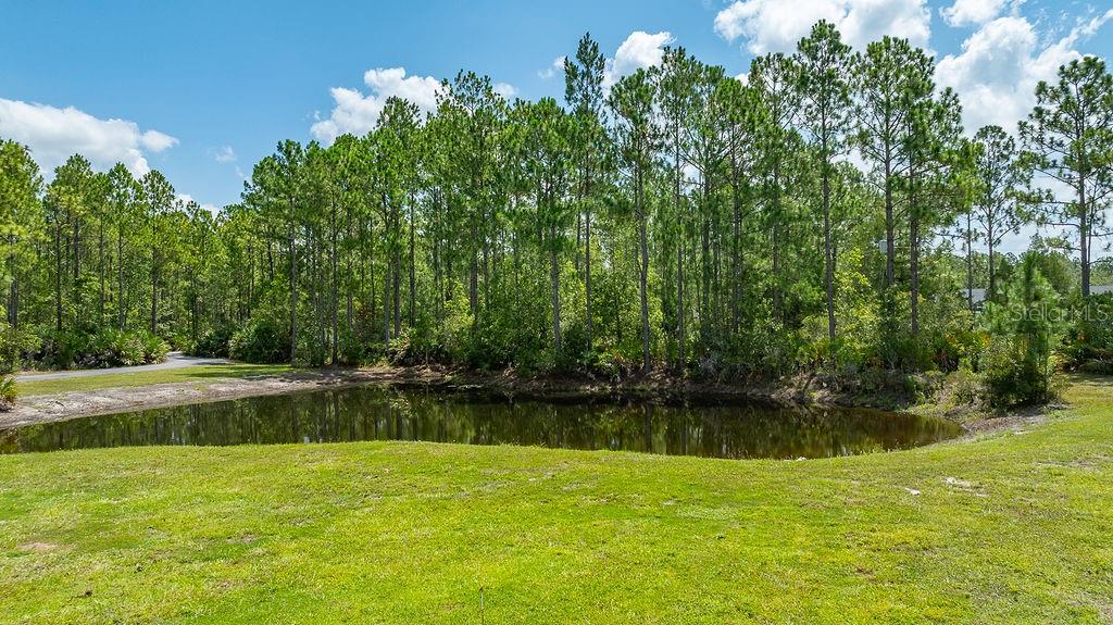 A small pond sits in front of a dense line of pine trees under a sky — 147 ASHBY COVE LANE, NEW SMYRNA BEACH, FL