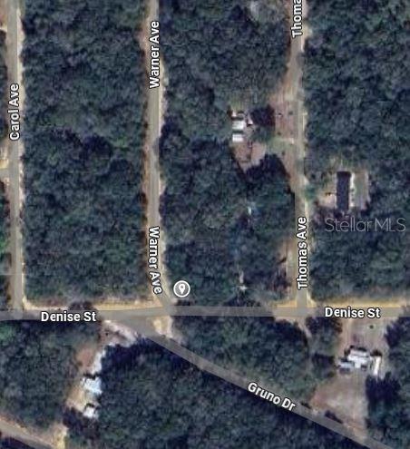 This is an aerial map view showing a wooded lot at the intersection of local streets — 00 DENISE STREET, INTERLACHEN, FL