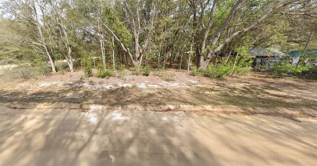 A dirt road runs in front of a wooded, undeveloped residential lot with sandy soil — 00 DENISE STREET, INTERLACHEN, FL