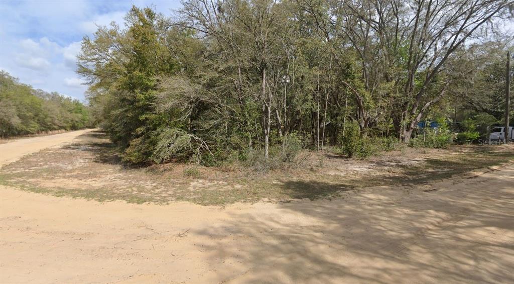 A dirt road curves past a wooded lot with scattered trees and sandy ground — 00 DENISE STREET, INTERLACHEN, FL
