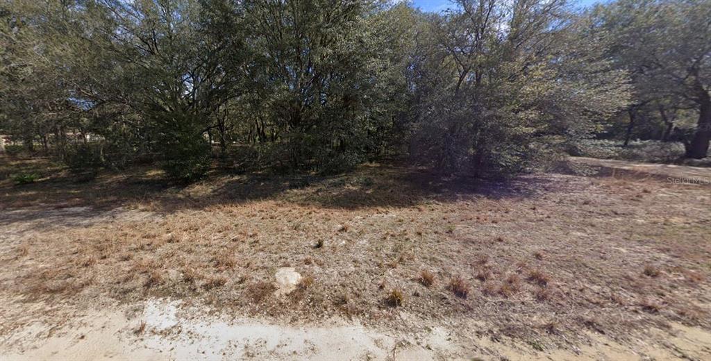 A vacant, wooded lot with dry grass and sandy soil under a clear blue sky — 00 DENISE STREET, INTERLACHEN, FL