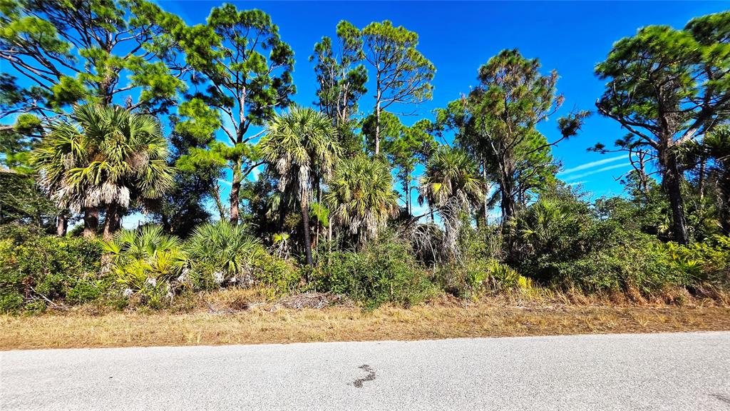 A paved road runs in front of a wooded lot with pine and palm trees — 17492 WACO AVENUE, PORT CHARLOTTE, FL