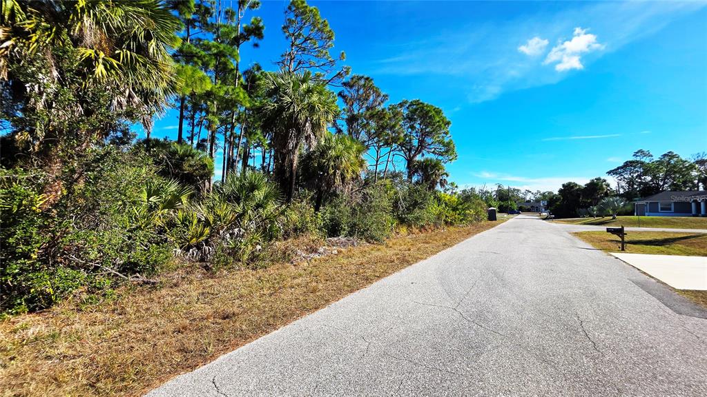 A paved road runs alongside a wooded lot with palm trees and native vegetation — 17492 WACO AVENUE, PORT CHARLOTTE, FL