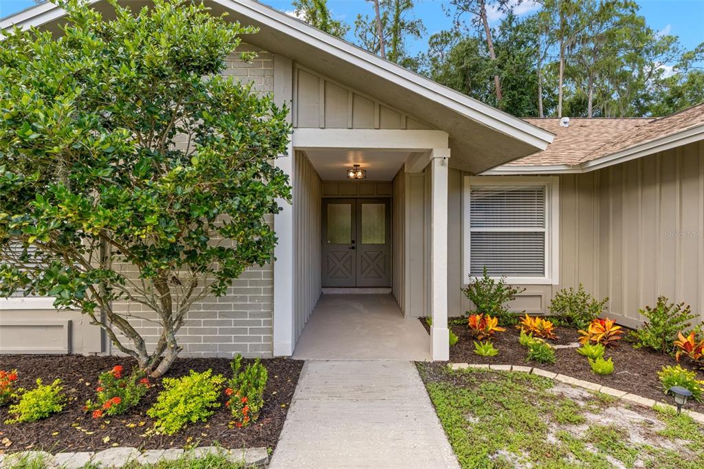 A concrete walkway leads to the covered entryway of a house with gray siding — 2718 WOODHALL TERRACE, PALM HARBOR, FL