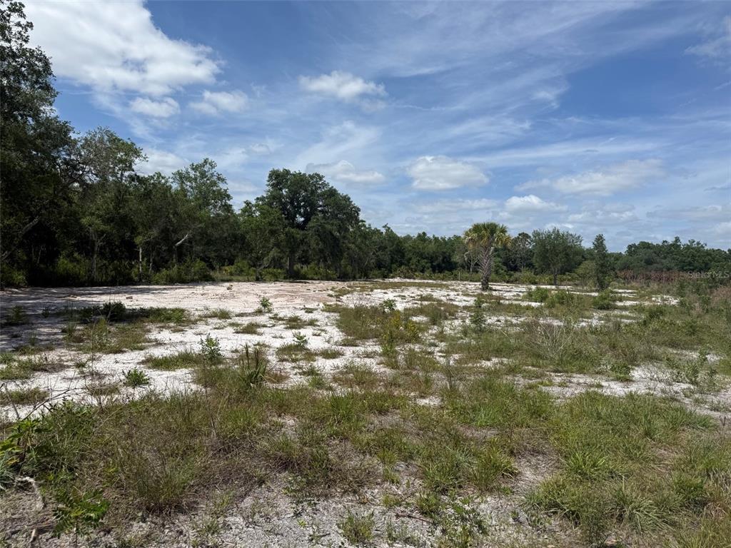 A cleared, sandy lot with scattered vegetation and surrounding trees under a blue sky — 18121 NW 256TH STREET, OKEECHOBEE, FL