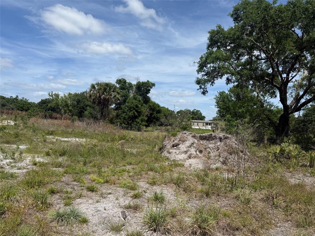 A grassy, undeveloped lot features a large dirt mound and scattered trees under a blue sky — 18121 NW 256TH STREET, OKEECHOBEE, FL