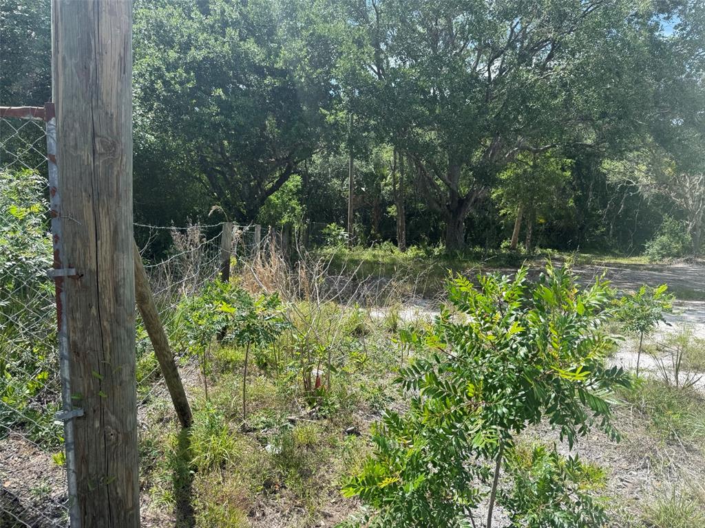 A wooden utility pole stands beside a chain-link fence bordering a wooded, overgrown lot — 18121 NW 256TH STREET, OKEECHOBEE, FL
