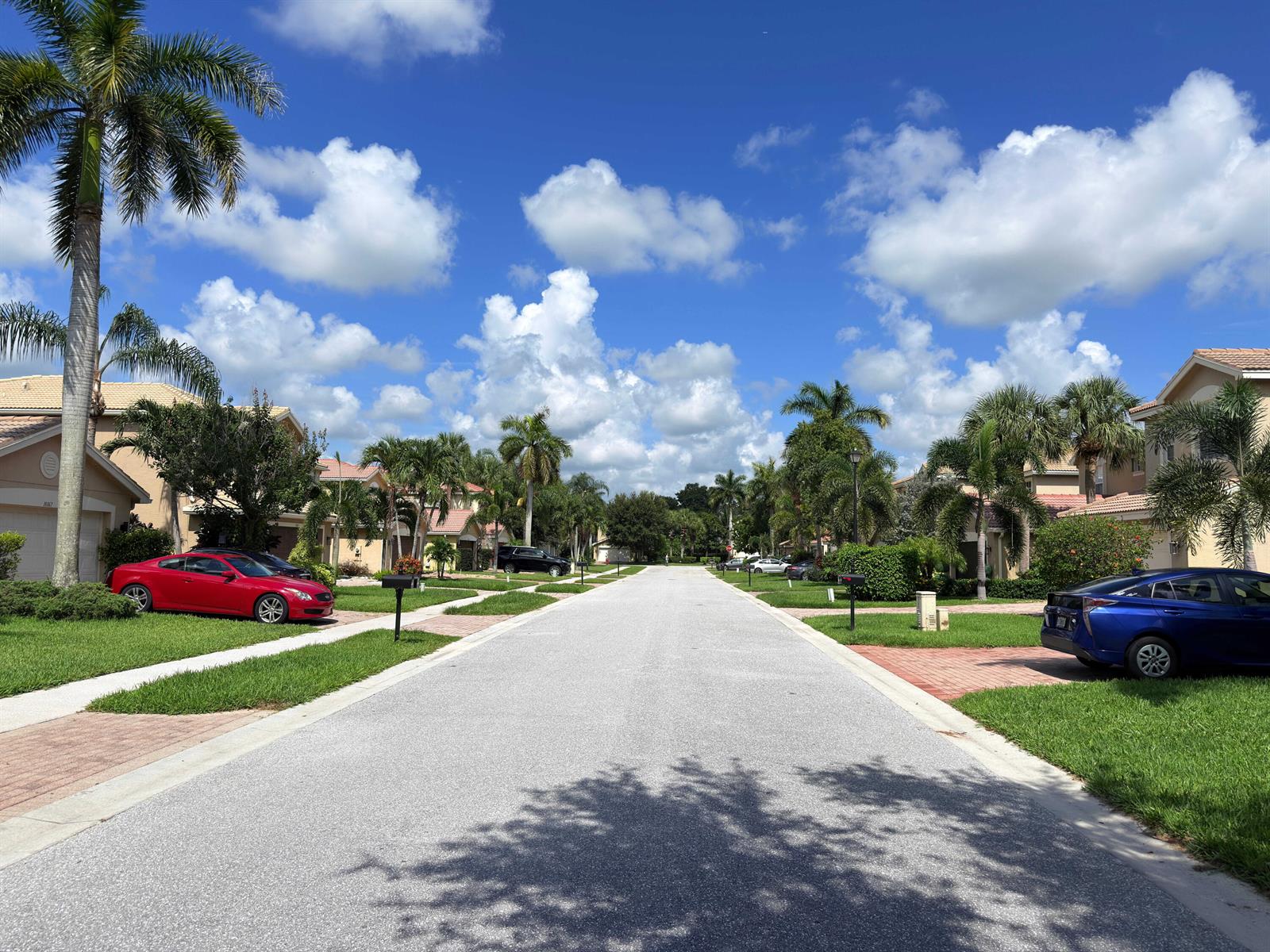 A residential street lined with palm trees, houses, and parked cars under a blue sky — 10172 White Water Lily Way, Boynton Beach FL 33437, BOYNTON BEACH, FL