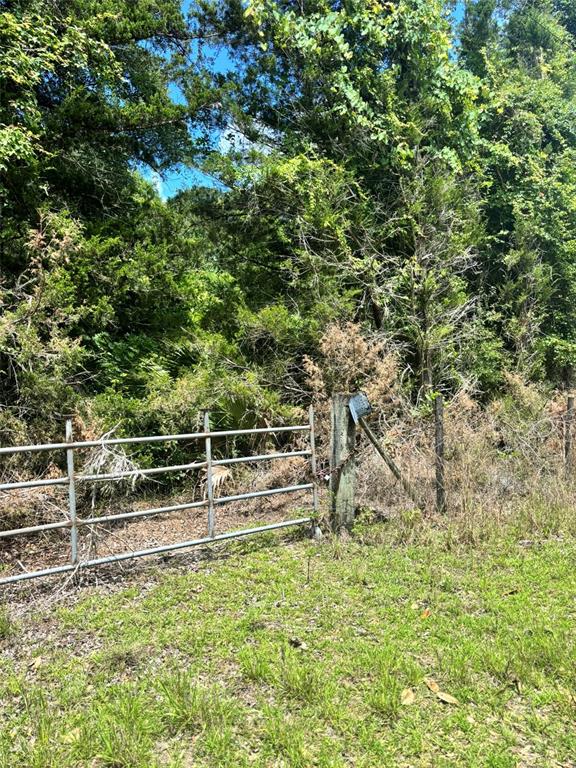 A metal farm gate stands at the edge of a wooded area with dense vegetation — 11916 NW 80TH COURT, CHIEFLAND, FL
