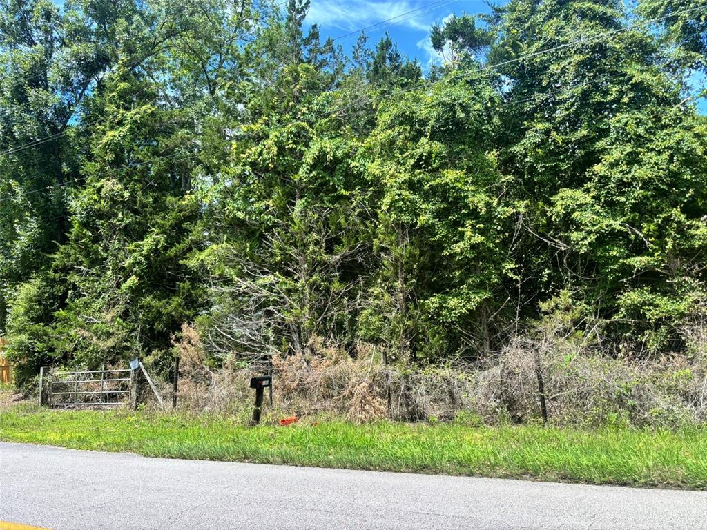 A view of a wooded, undeveloped lot with a metal gate and a mailbox — 11916 NW 80TH COURT, CHIEFLAND, FL