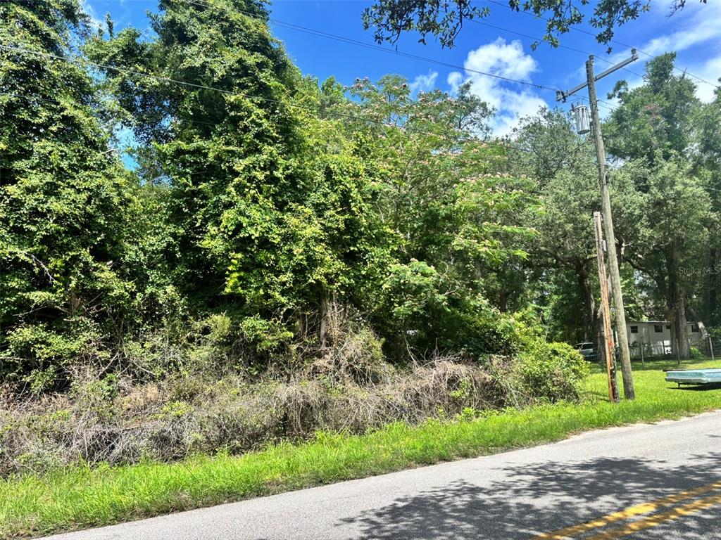 A view of a densely wooded, undeveloped lot next to a paved road and utility pole — 11916 NW 80TH COURT, CHIEFLAND, FL