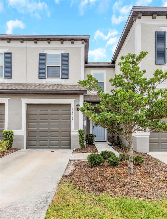 A two-story townhouse features a tan stucco exterior, a single-car garage, and a small tree — 31604 BLUE PASSING LOOP, WESLEY CHAPEL, FL