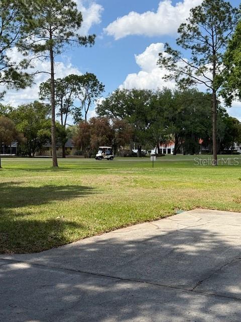 A golf cart drives across a grassy field surrounded by trees under a blue sky — 400 S HOWARD AVENUE, LAKELAND, FL