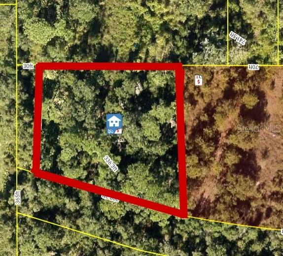 This is an aerial map view of a wooded, irregularly shaped parcel of land — 27551 JACKSON COURT, OKAHUMPKA, FL