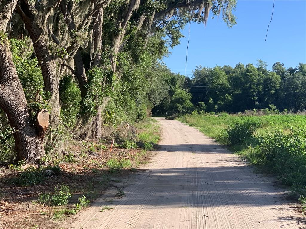 A dirt road winds through a wooded area next to a grassy field — 27551 JACKSON COURT, OKAHUMPKA, FL