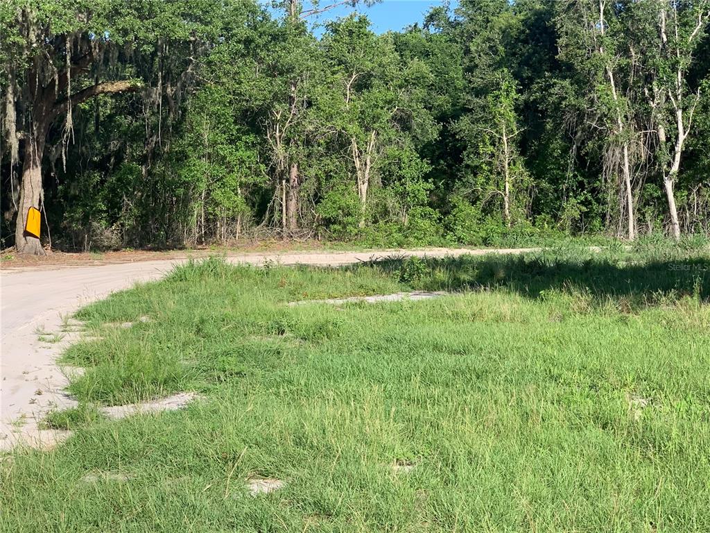 A grassy, undeveloped lot sits next to a dirt road in front of dense woods — 27551 JACKSON COURT, OKAHUMPKA, FL