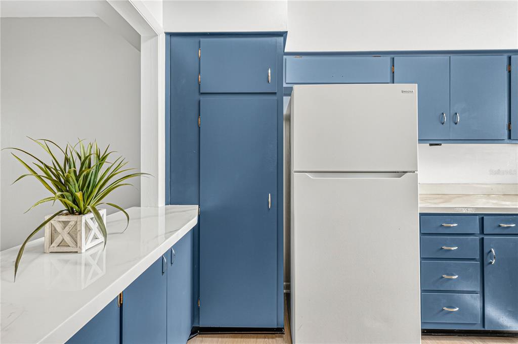 A kitchen features blue cabinets, a white refrigerator, and a white countertop with a plant — 223 WINDSOR STREET UNIT 4, LAKELAND, FL