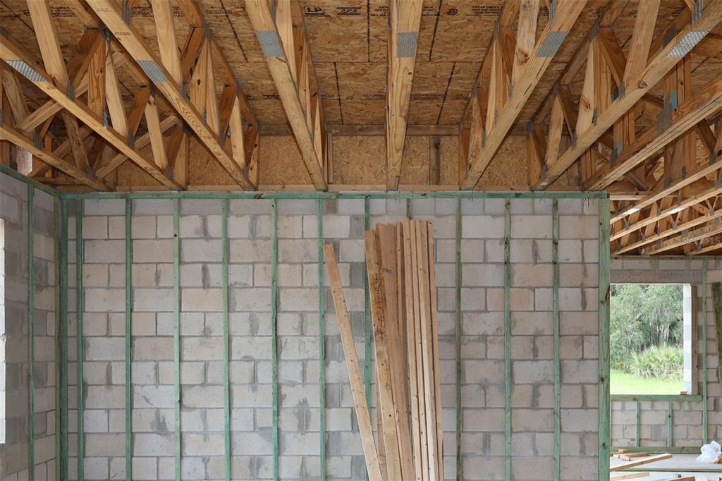 An unfinished room features concrete block walls with green furring strips and exposed wooden roof trusses — 17043 OVERSTORY ROAD, ORLANDO, FL