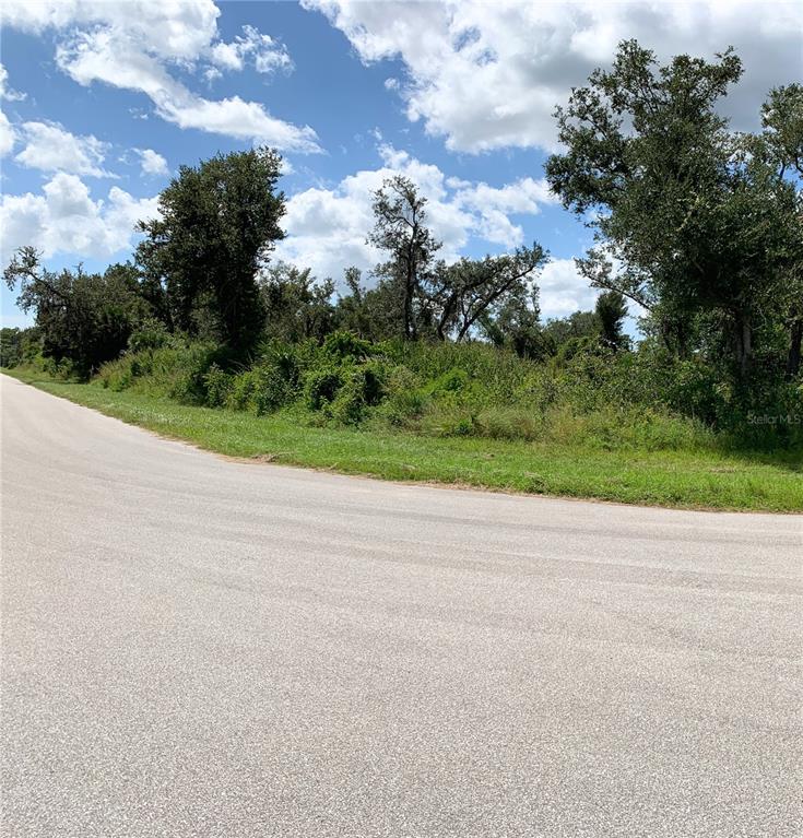 A paved road curves alongside a vacant, overgrown lot with scattered trees under a cloudy sky — 2096 LORRAINE DRIVE, PORT CHARLOTTE, FL
