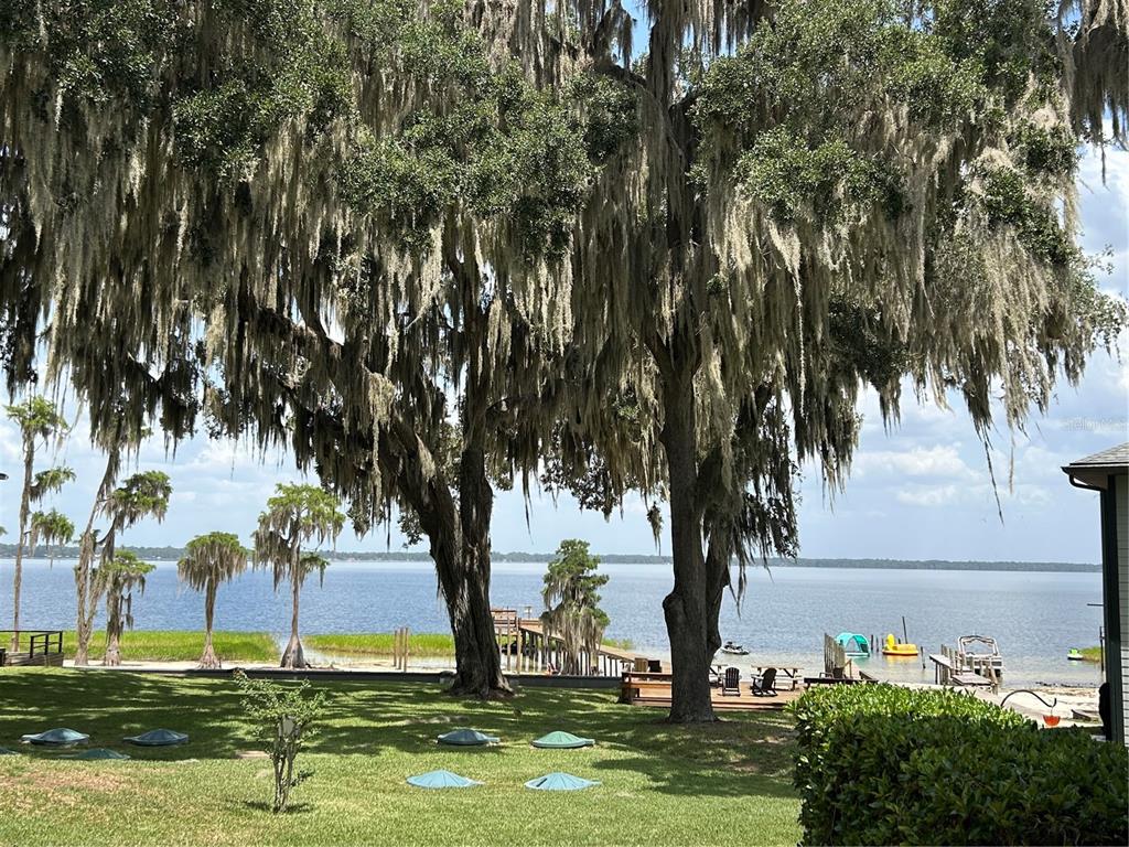 A large tree with Spanish moss overlooks a lake with a dock and small boats — 21116 NE 101ST AVENUE UNIT 10, EARLETON, FL
