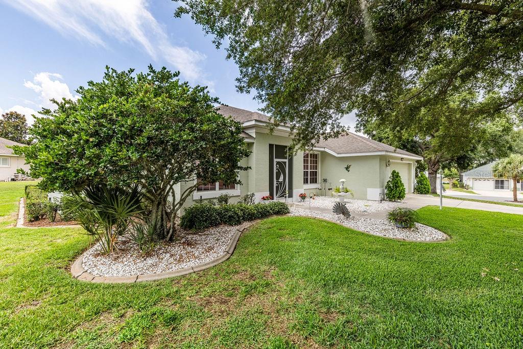A light green single-story house with a white rock garden and a large front tree — 3370 SAINT LUCIA COURT, TAVARES, FL