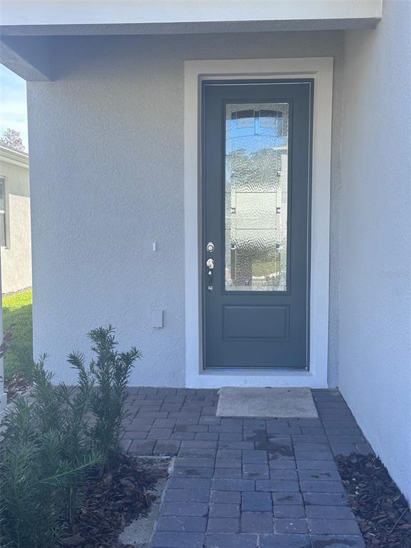 A gray front door with a glass panel is set in a light-colored stucco wall — 17539 SAW PALMETTO AVENUE, CLERMONT, FL