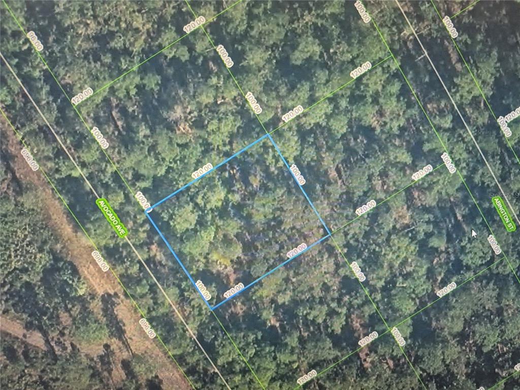 An aerial map view shows a rectangular plot of land outlined in blue — 3160 AVOCADO AVENUE, SEBRING, FL