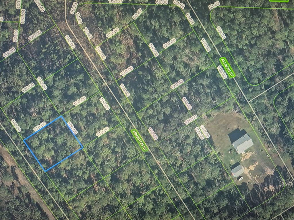 An aerial map view shows a wooded residential lot outlined in blue near Abington Street — 3160 AVOCADO AVENUE, SEBRING, FL