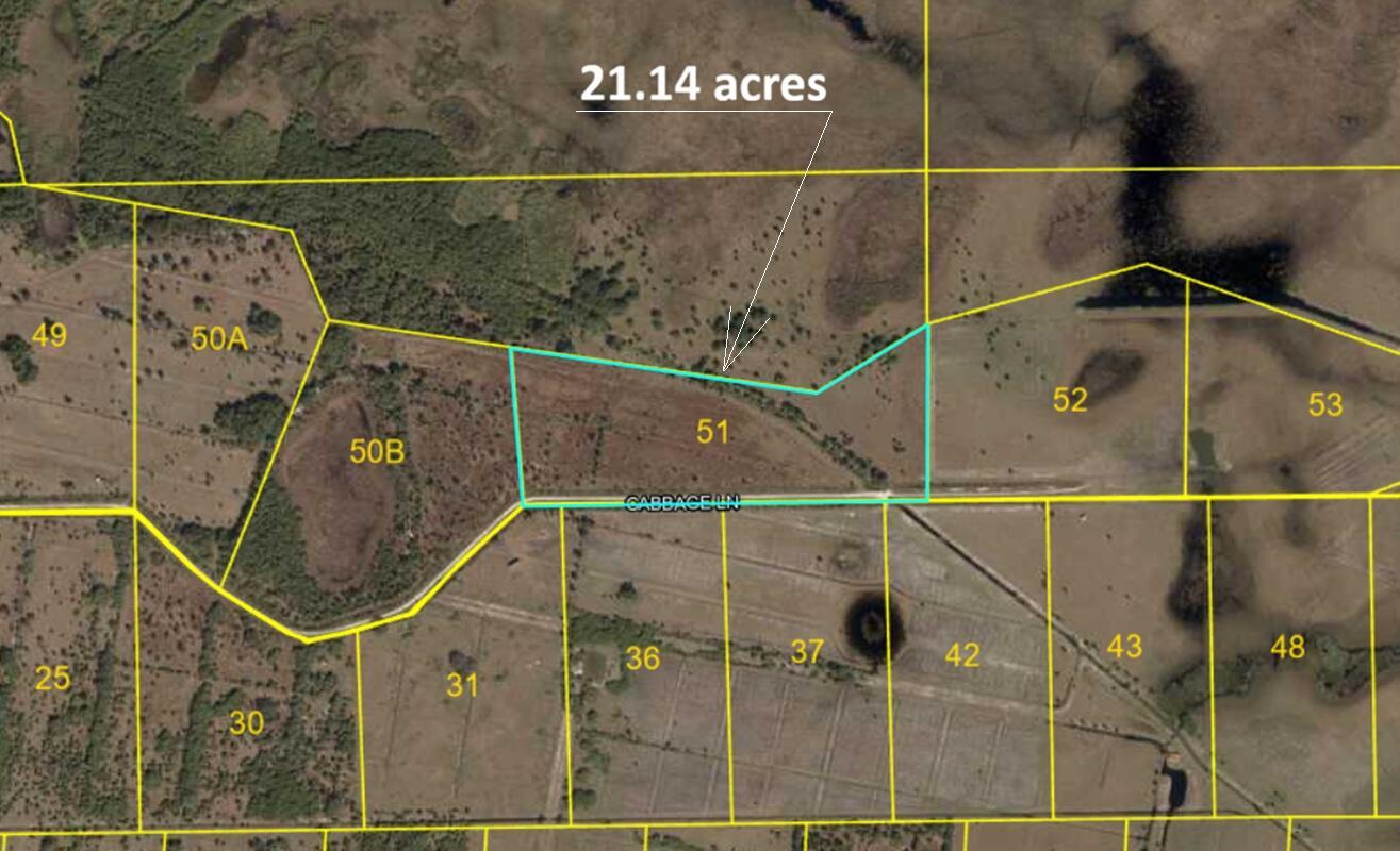 This is an aerial map showing a 21.14-acre parcel of land labeled 51 along Cabbage Ln — Lot 51 Cabbage Lane, Okeechobee FL 34974, OKEECHOBEE, FL