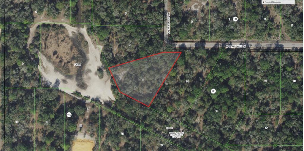 12180 W OLIVE TREE LANE, CRYSTAL RIVER, FL — photo 5 of 5