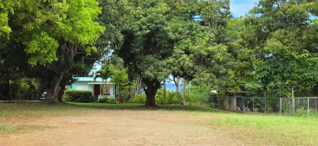 A small light blue house sits behind a large dirt yard surrounded by mature trees — BARRIO PUNTAS, RINCON, PR