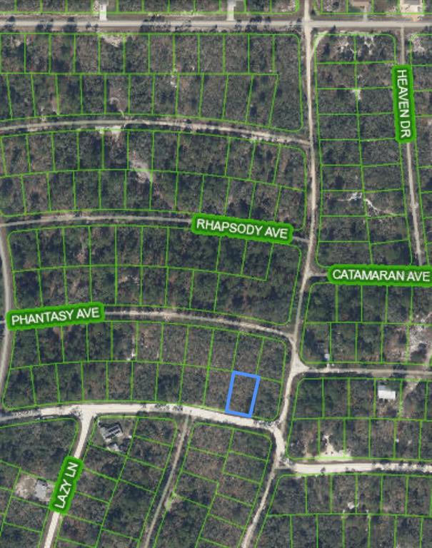 This is a satellite map showing a highlighted vacant residential lot in a wooded area — 284 DEERWALK AVENUE, LAKE PLACID, FL