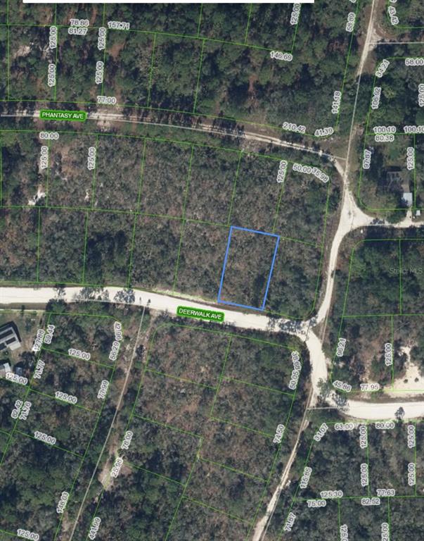 This is an aerial map showing a vacant lot highlighted in blue along a dirt road — 284 DEERWALK AVENUE, LAKE PLACID, FL