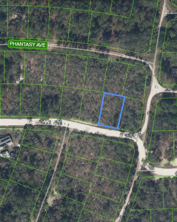 This is an aerial map showing a vacant, rectangular lot outlined in blue — 284 DEERWALK AVENUE, LAKE PLACID, FL