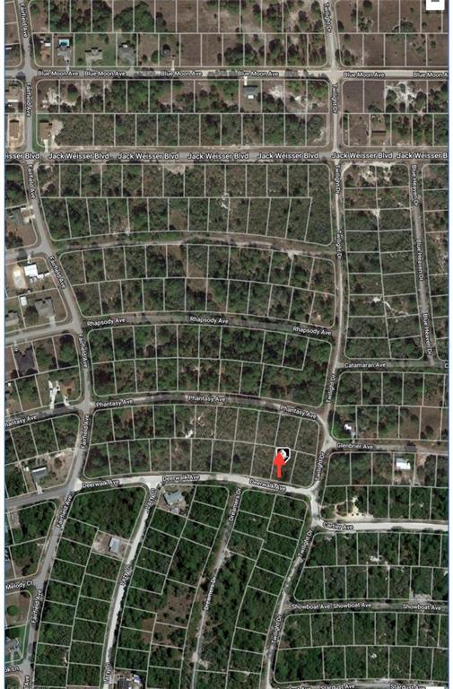 This is an aerial map showing a vacant lot marked with a red arrow — 284 DEERWALK AVENUE, LAKE PLACID, FL