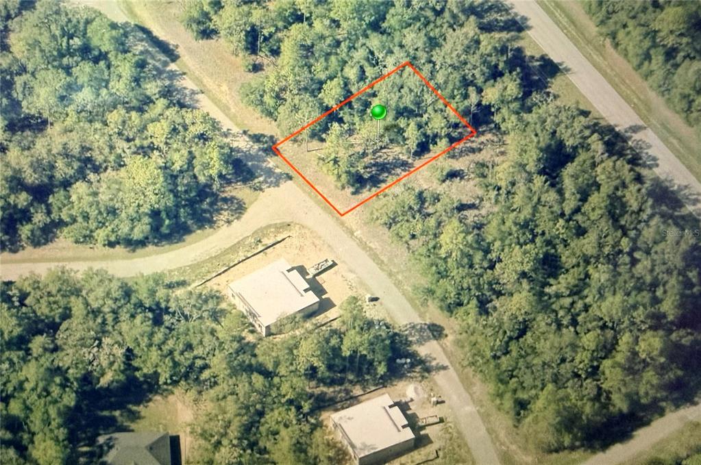 An aerial view shows a rectangular, tree-covered vacant lot outlined in red — 11114 N VESTA POINT, DUNNELLON, FL