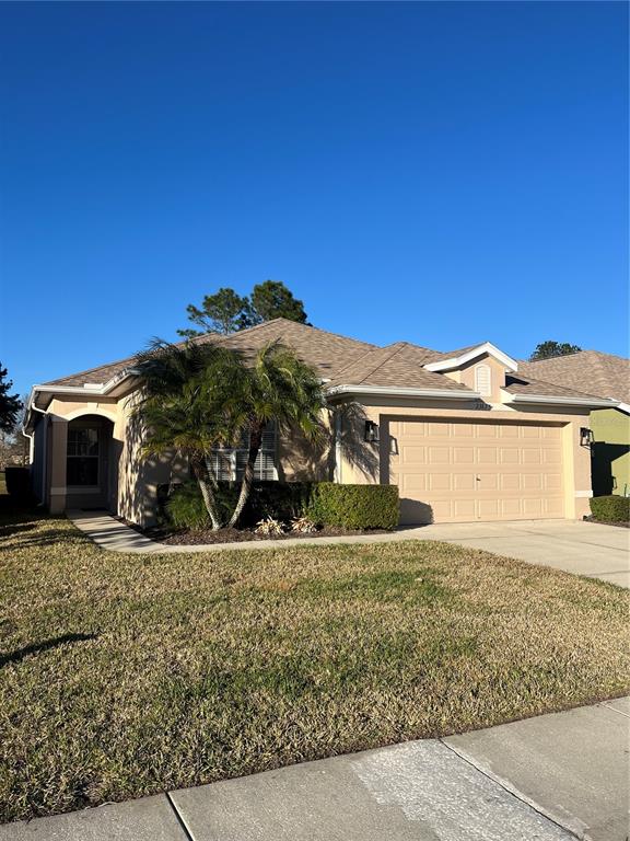 A single-story house with a beige stucco exterior, a two-car garage, and a concrete driveway — 23835 CORAL RIDGE LANE, LAND O LAKES, FL