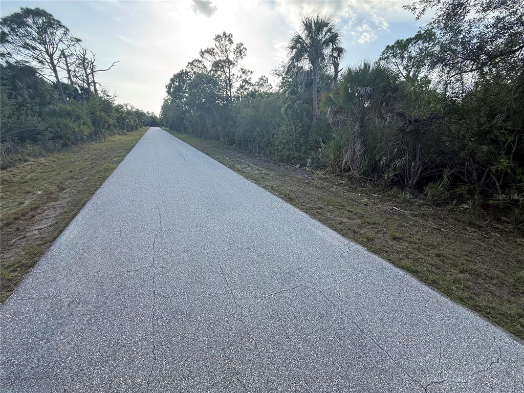 A paved road stretches through a wooded area with palm trees and dense vegetation — 12004 GLADIOLA AVENUE, PORT CHARLOTTE, FL