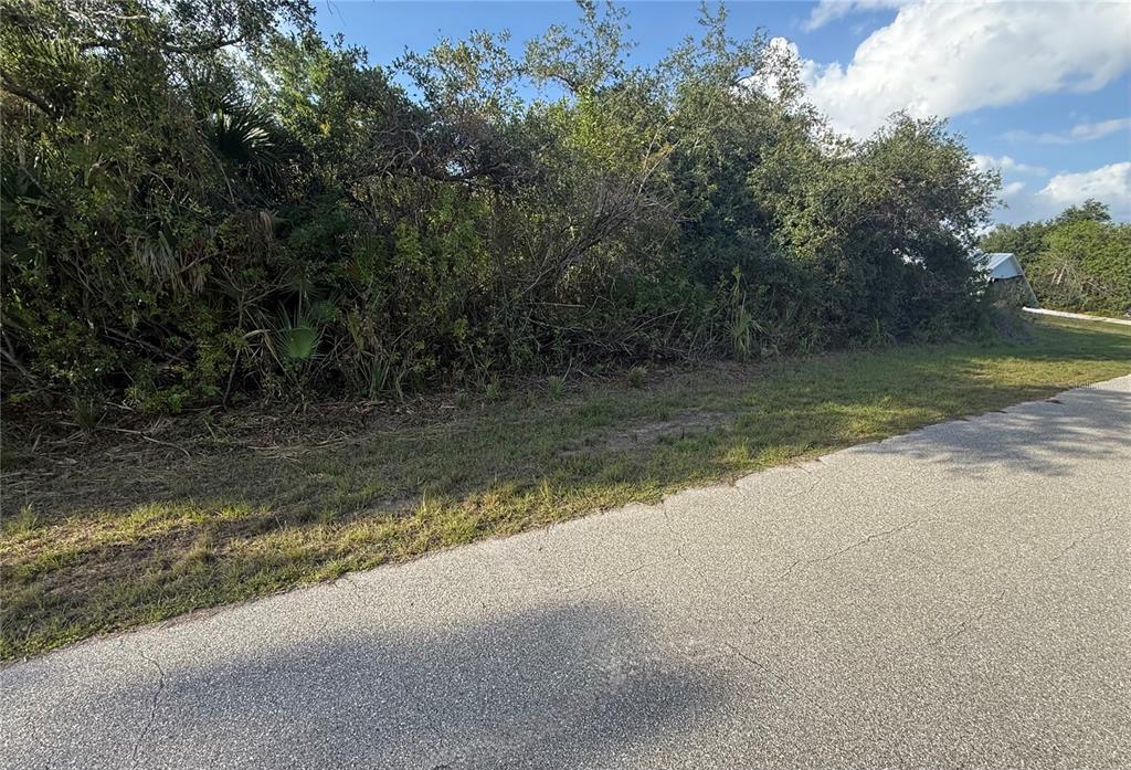 A paved road runs alongside a vacant, heavily wooded lot under a blue sky — 12004 GLADIOLA AVENUE, PORT CHARLOTTE, FL