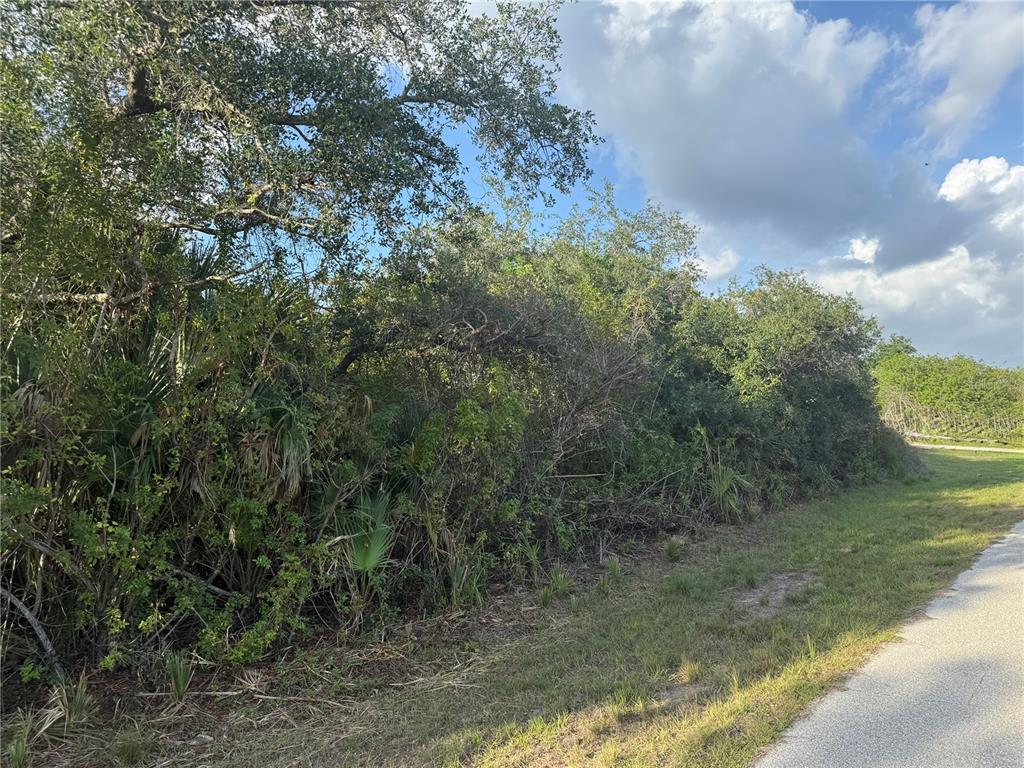 A dense thicket of trees and shrubs borders a paved path on a sunny day — 12004 GLADIOLA AVENUE, PORT CHARLOTTE, FL