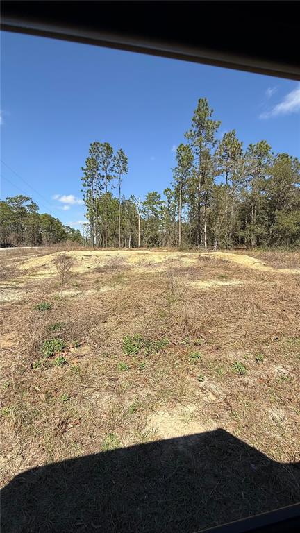 A vacant, cleared dirt lot features patches of dry grass and a background of pine trees — 259 NW REDWOOD DRIVE, DUNNELLON, FL